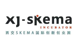 西交SKEMA国际创新创业